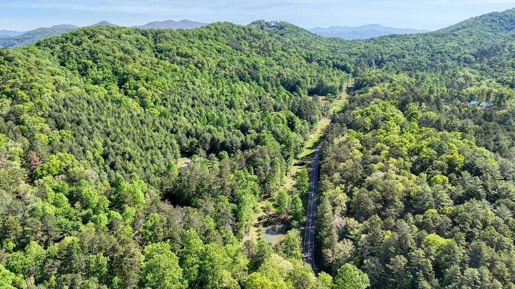 1493 Greasy Creek Road Brasstown, NC 28902 - Photo 45 of 51