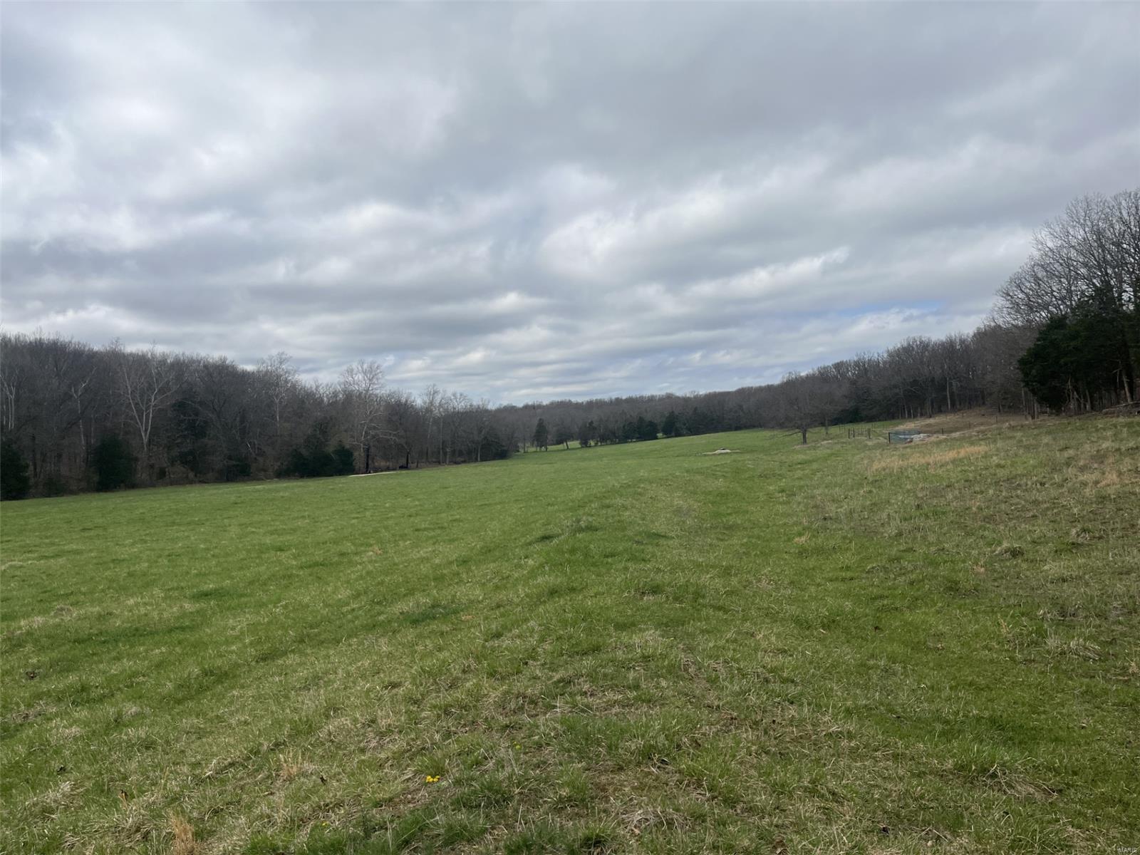 0 31.46 /- Ac Tract Road New Haven, MO 63068 - Photo 11 of 24