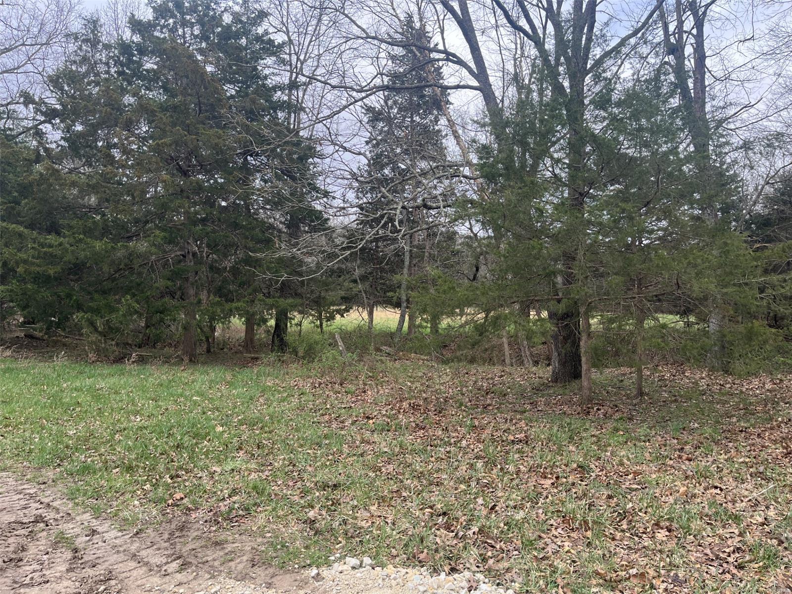 0 31.46 /- Ac Tract Road New Haven, MO 63068 - Photo 16 of 24