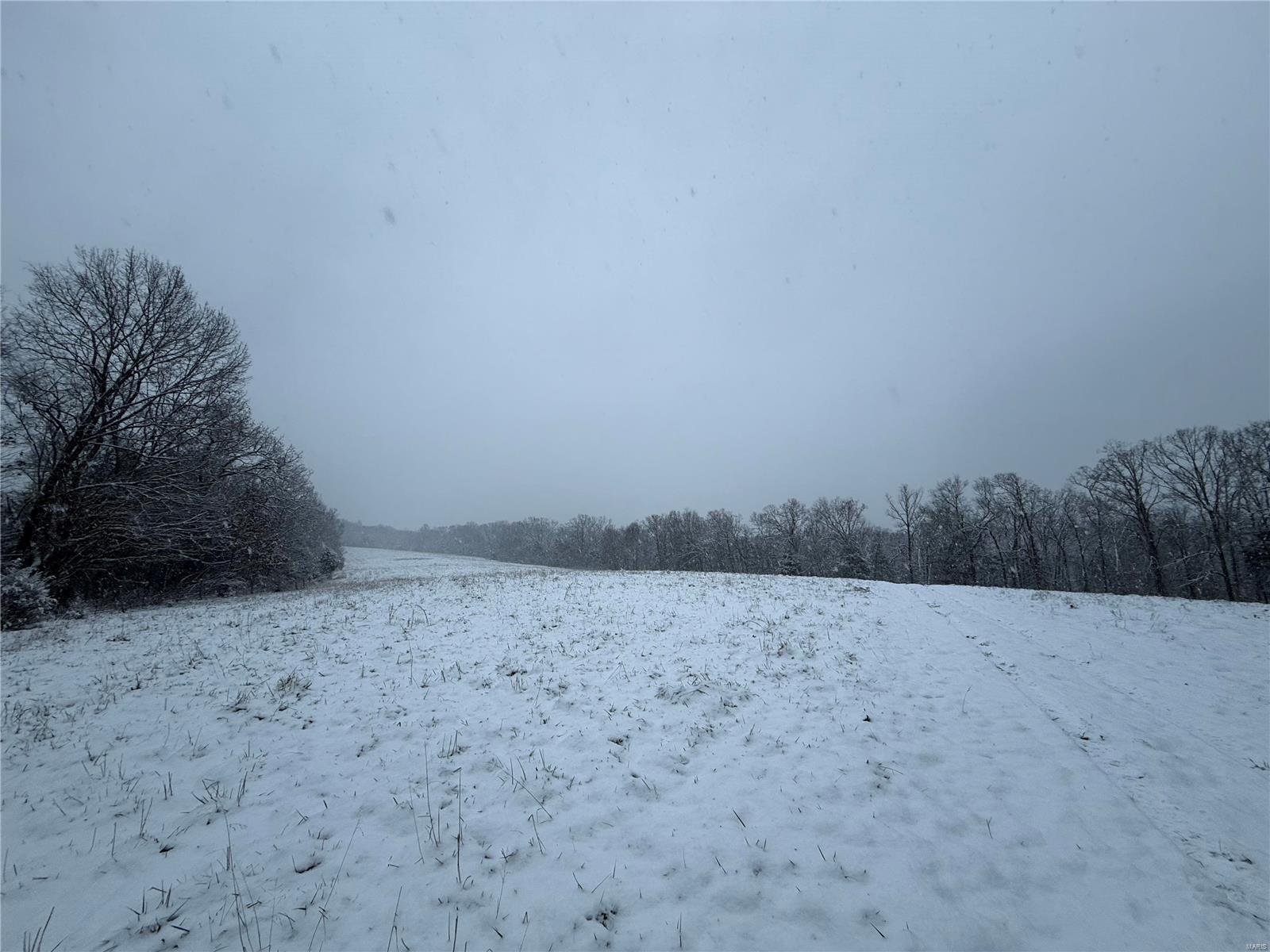 0 31.46 /- Ac Tract Road New Haven, MO 63068 - Photo 22 of 24