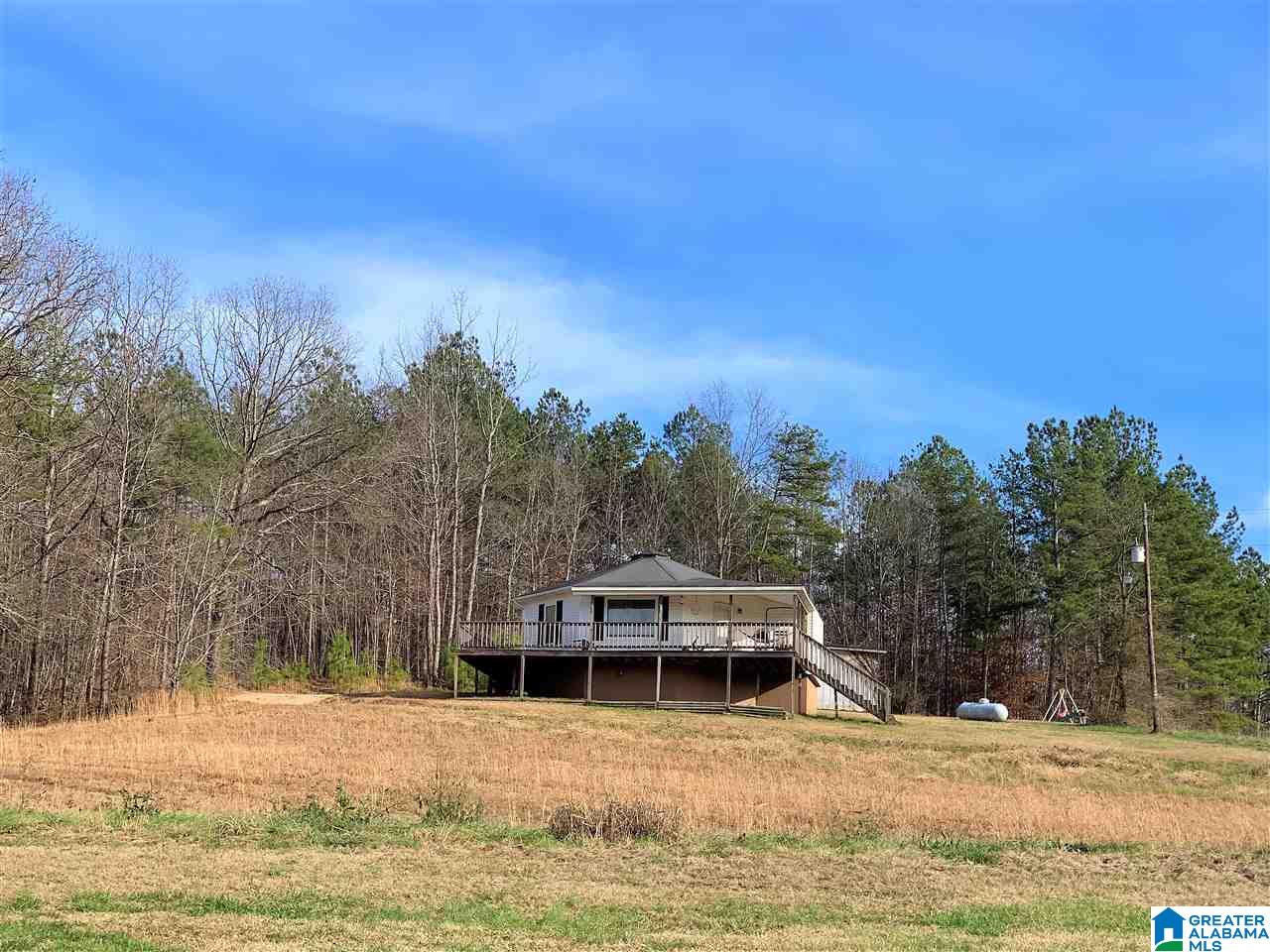 1141 County Road 482 Heflin, AL 36264 - Photo 15 of 44
