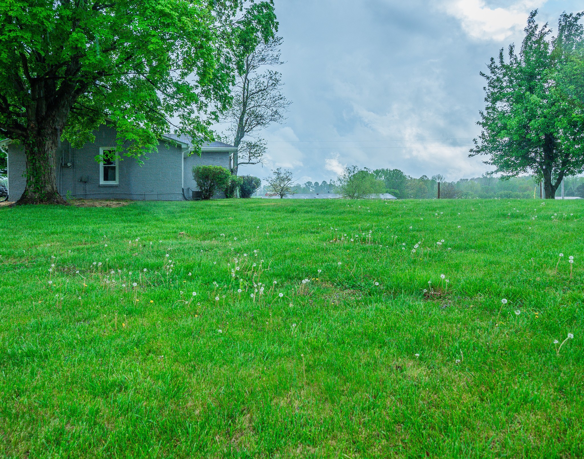 225 Paul Thompson Road Bethpage, TN 37022 - Photo 3 of 14 a view of a house with a yard