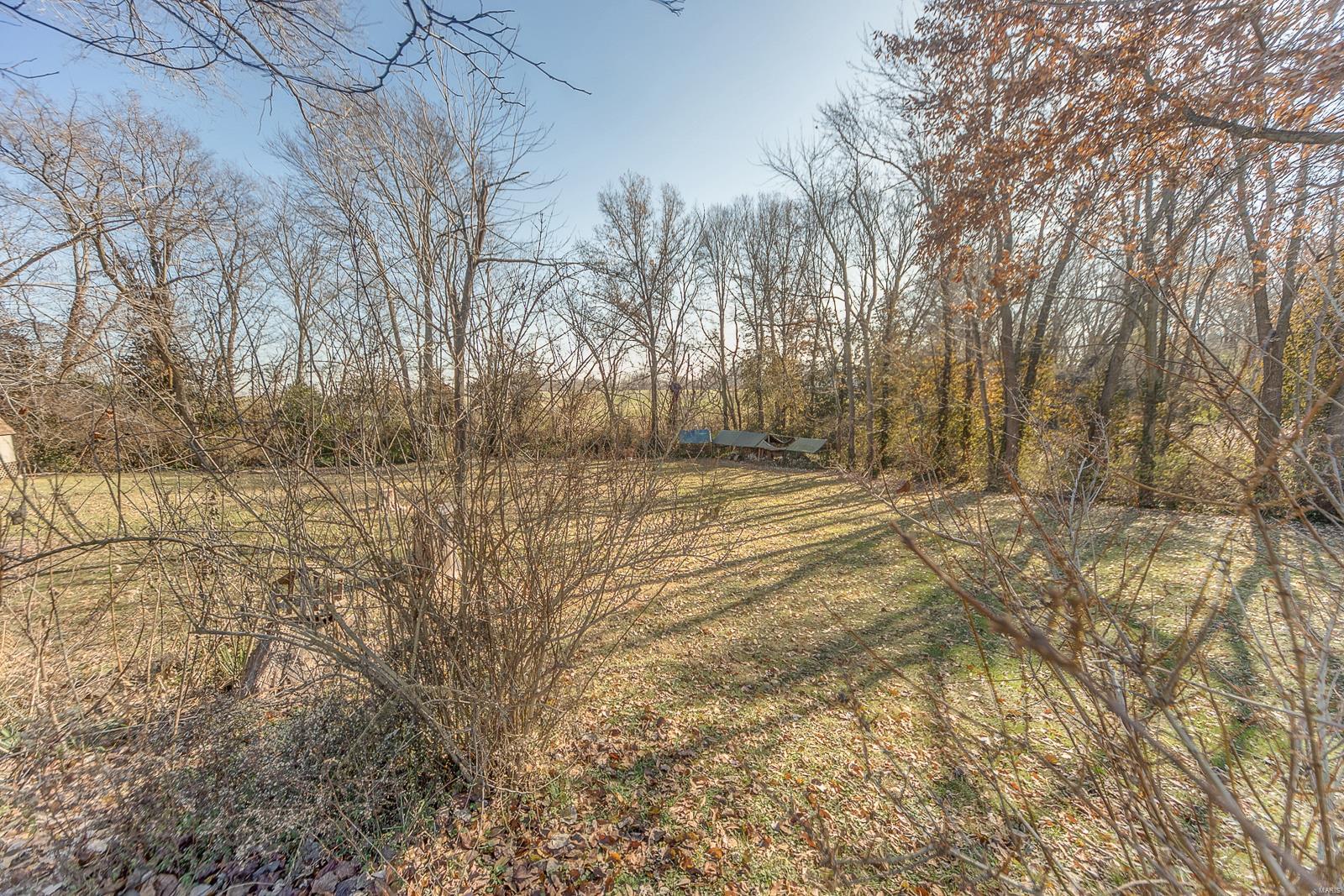 6442 Quercus Grove Road Edwardsville, IL 62025 - Photo 8 of 30
