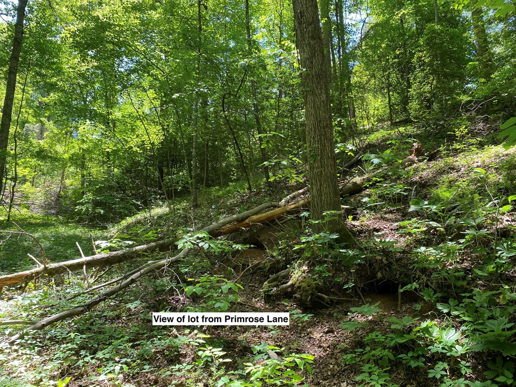 Tbd Village Road Murphy, NC 28906 - Photo 2 of 21