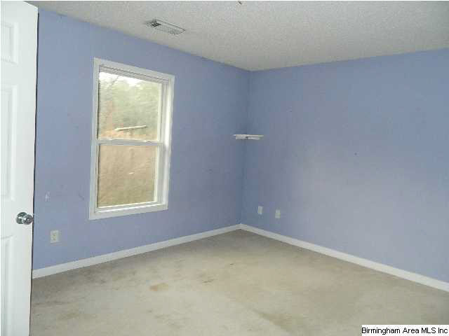 10370 Sipsey Valley Road Buhl, AL 35446 - Photo 8 of 17