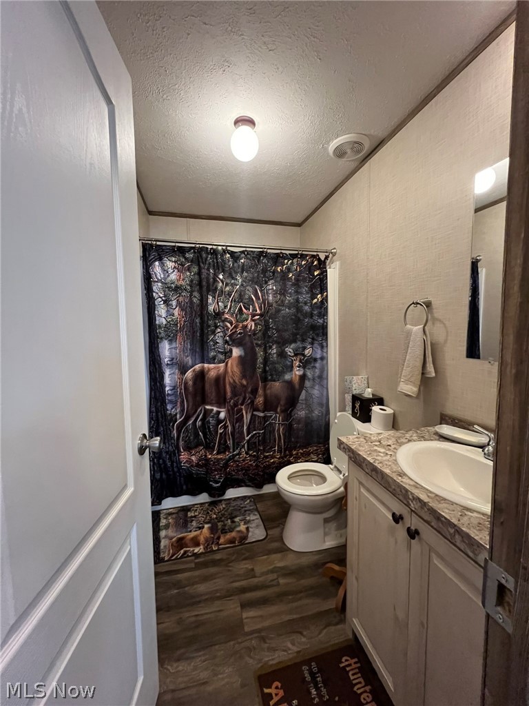 53720 Highway 681 Reedsville, OH 45772 - Photo 17 of 25 Bathroom featuring a vanity with a white sink, patterned countertop, and wood-finish flooring