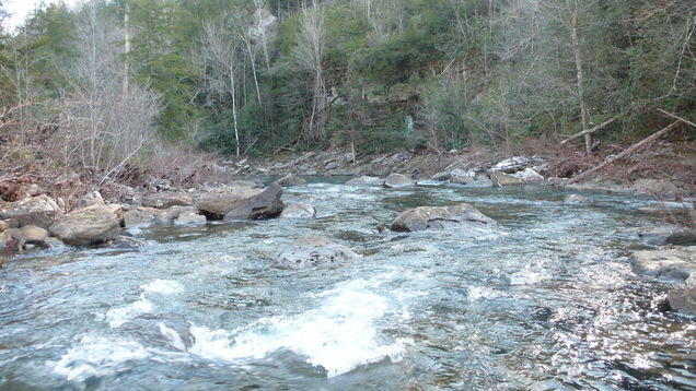 0 Long Branch Road Dunlap, TN 37327 - Photo 1 of 15 IMG_2352