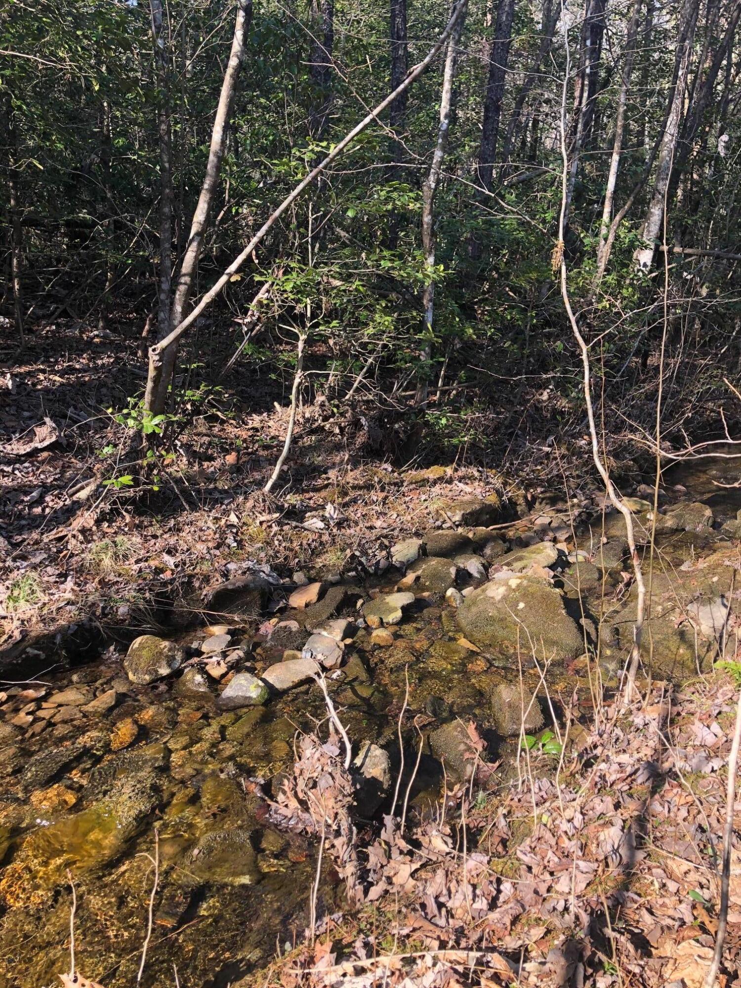 0 Long Branch Road Dunlap, TN 37327 - Photo 13 of 15 IMG_2330