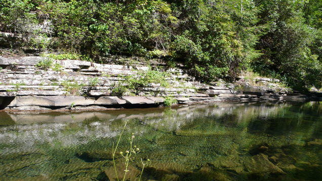 0 Long Branch Road Dunlap, TN 37327 - Photo 3 of 15 IMG_2349