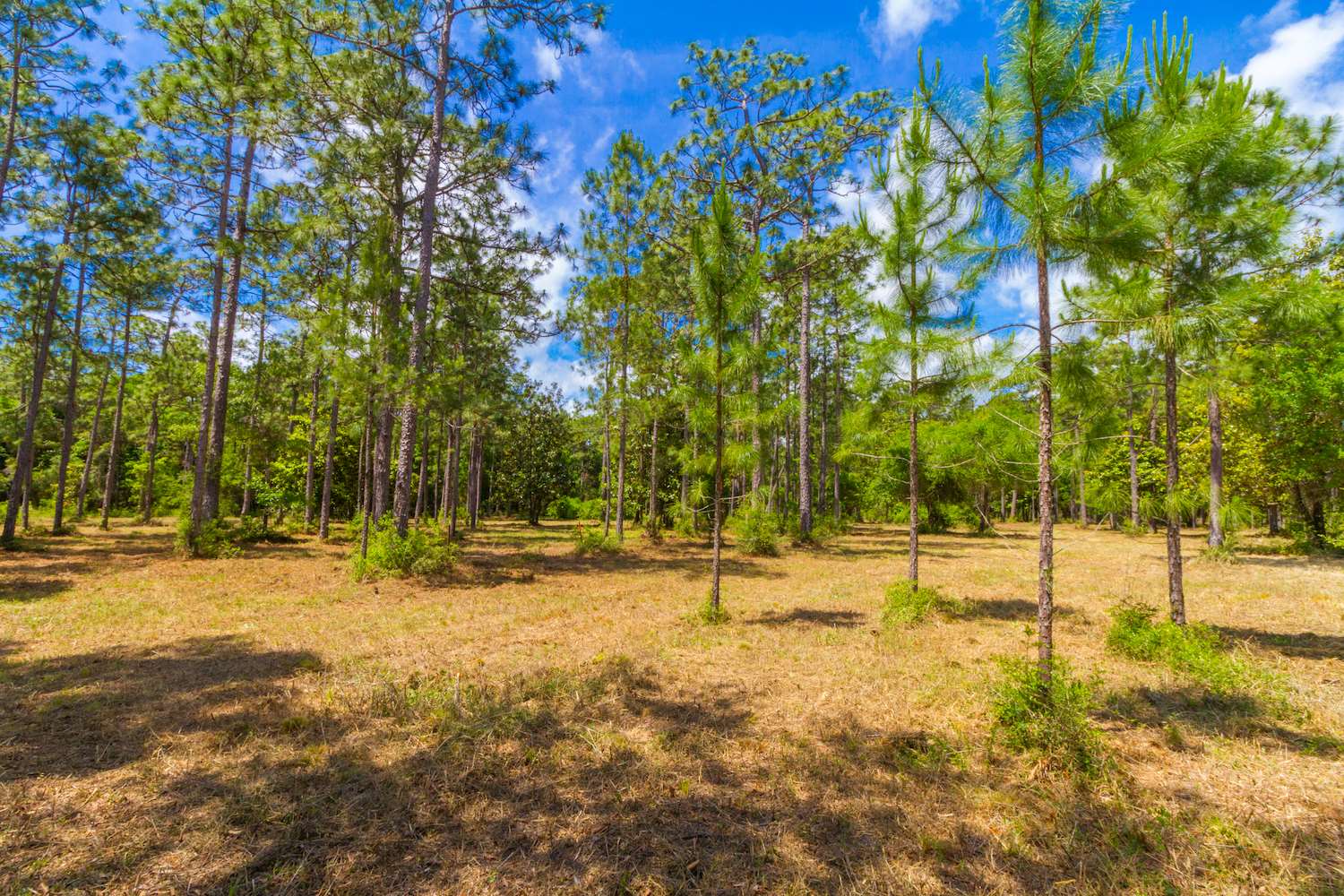 8844 Red Fish Pt Road Lillian, AL 36549 - Photo 13 of 16