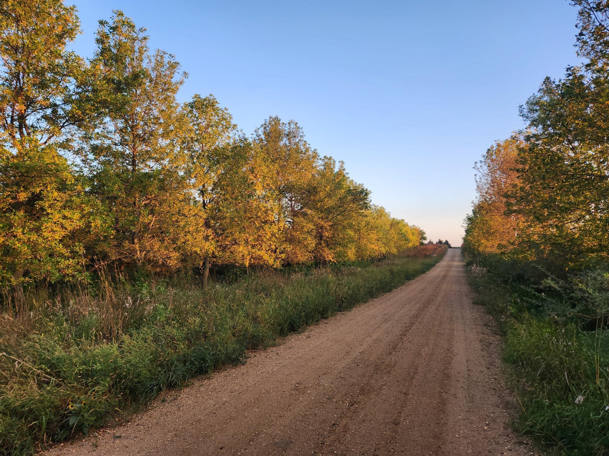 2051 120th Street Balaton, MN 56115 - Photo 18 of 46