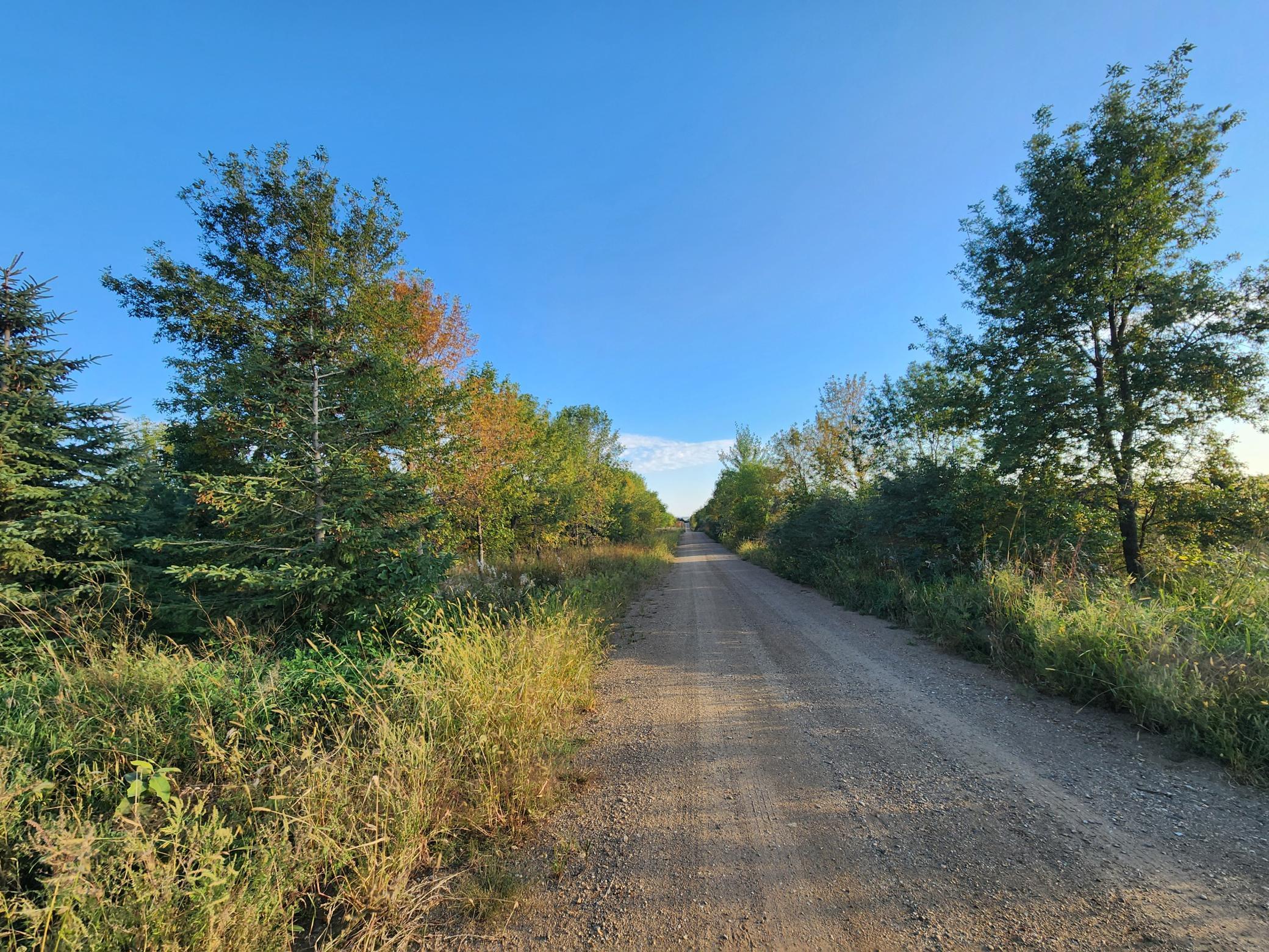 2051 120th Street Balaton, MN 56115 - Photo 22 of 52