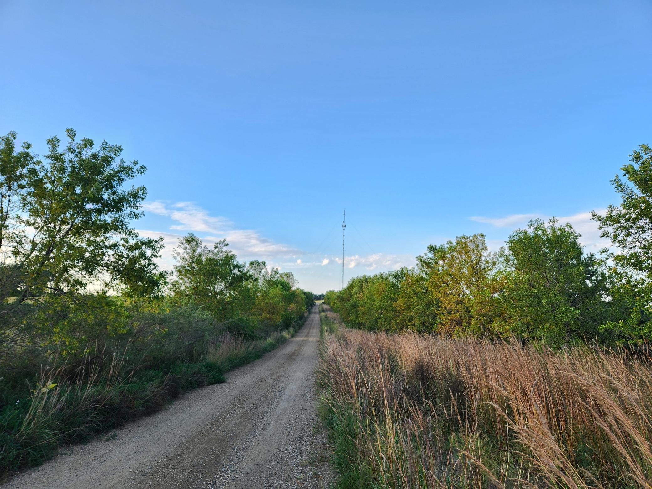2051 120th Street Balaton, MN 56115 - Photo 23 of 46