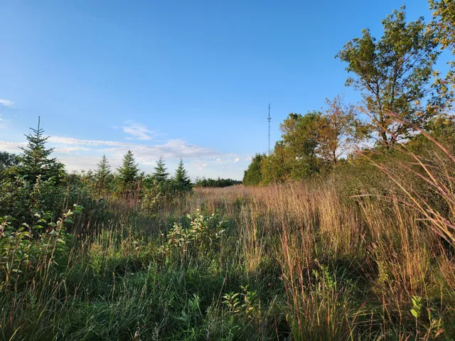 $325,000 | 2051 120th Street, Balaton, MN 56115