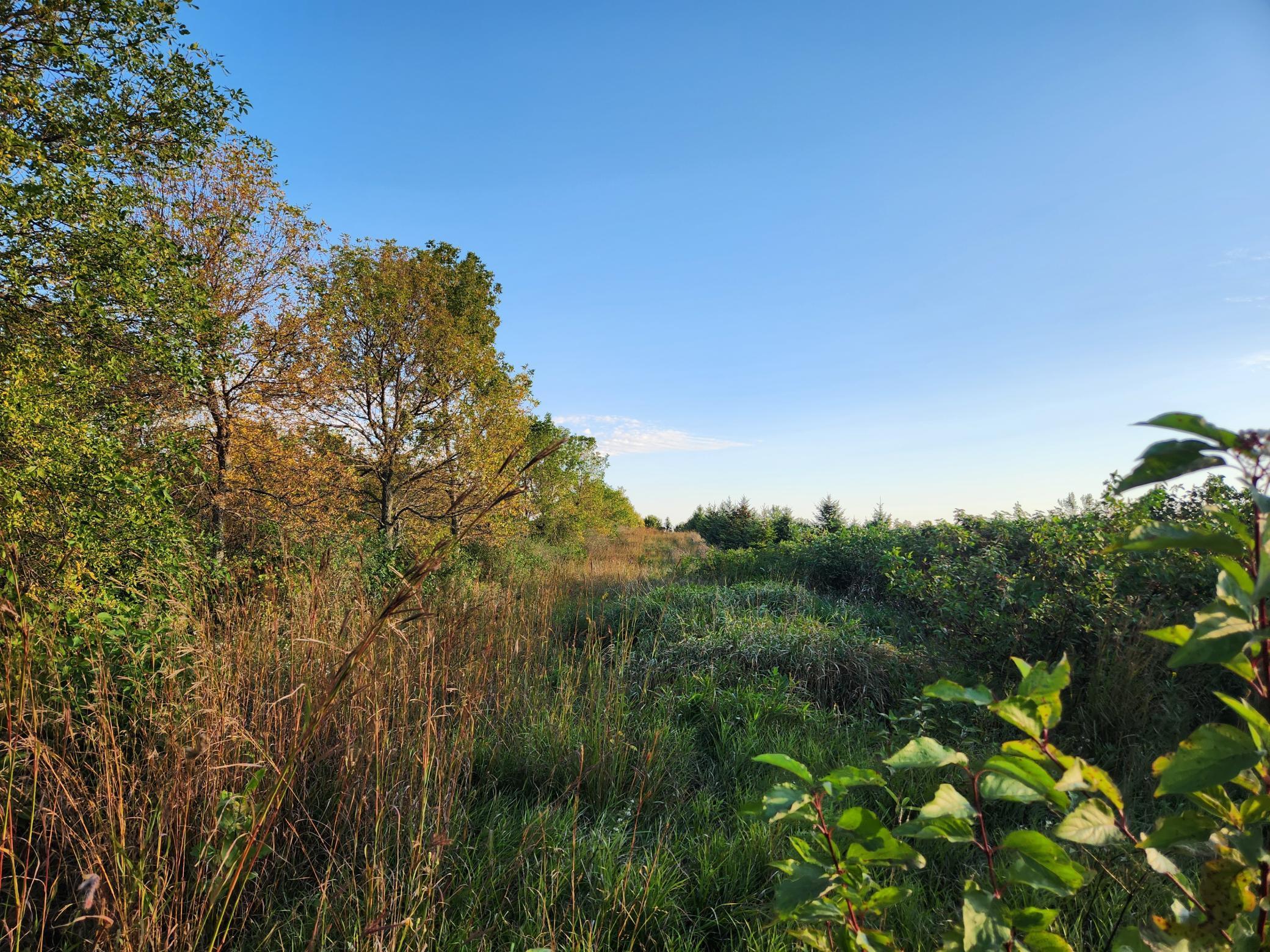 2051 120th Street Balaton, MN 56115 - Photo 26 of 52