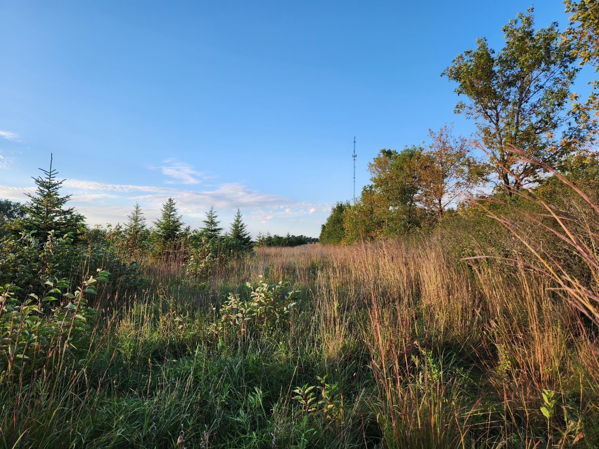 2051 120th Street Balaton, MN 56115 - Photo 27 of 52