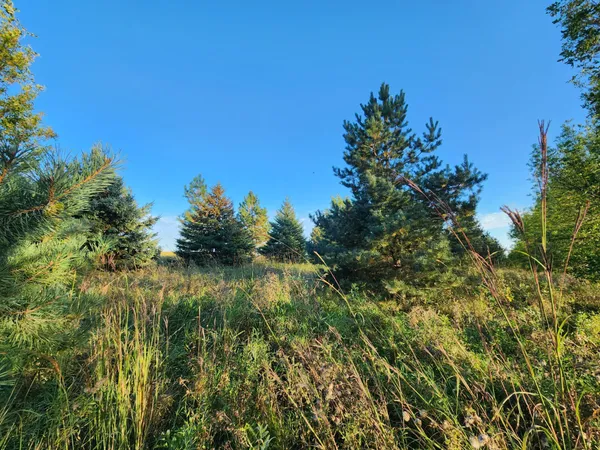 $325,000 | 2051 120th Street, Balaton, MN 56115