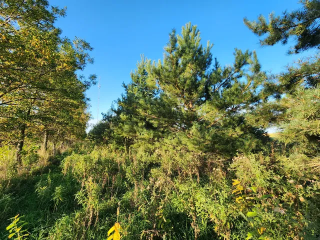 $325,000 | 2051 120th Street, Balaton, MN 56115