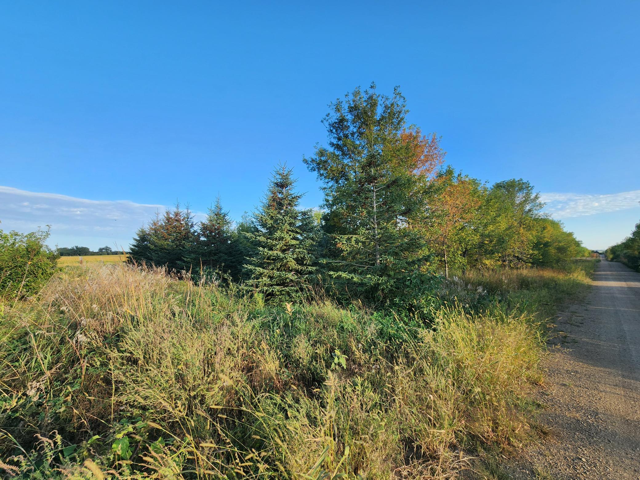 2051 120th Street Balaton, MN 56115 - Photo 32 of 52