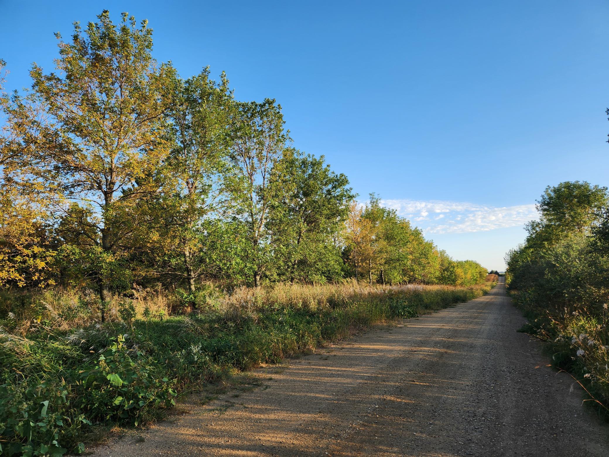 2051 120th Street Balaton, MN 56115 - Photo 33 of 52