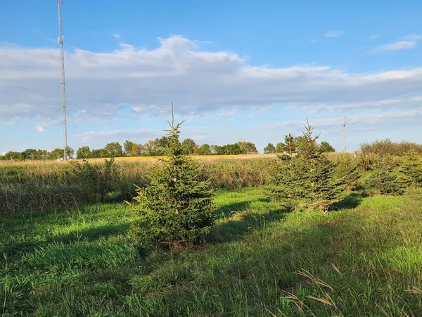 $325,000 | 2051 120th Street, Balaton, MN 56115