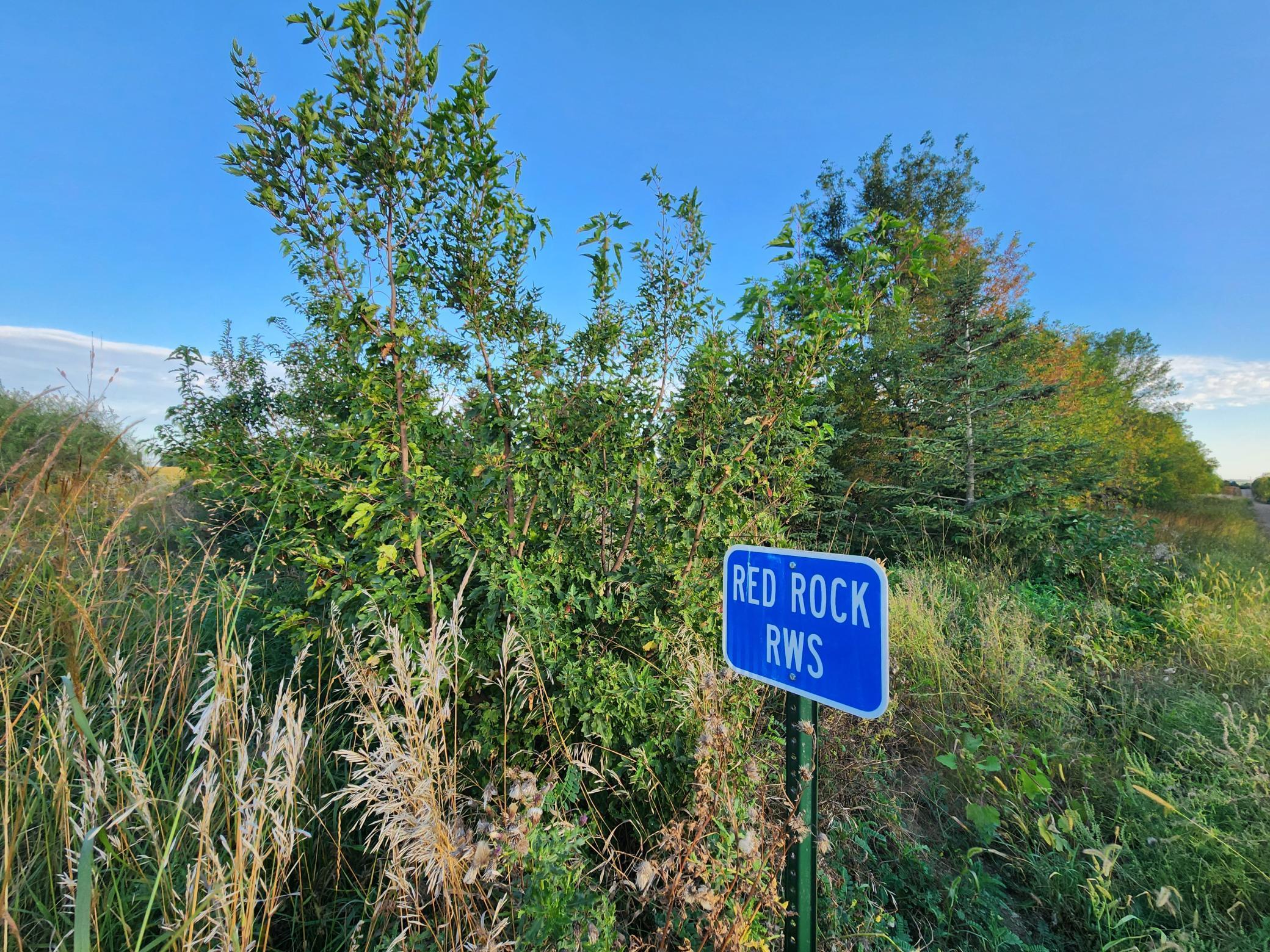 2051 120th Street Balaton, MN 56115 - Photo 34 of 52