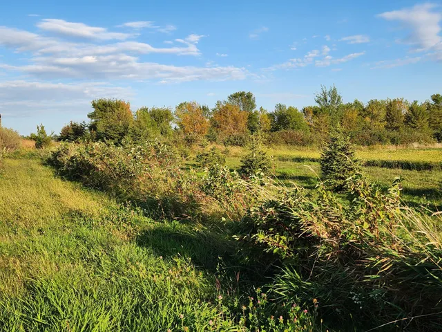 $325,000 | 2051 120th Street, Balaton, MN 56115