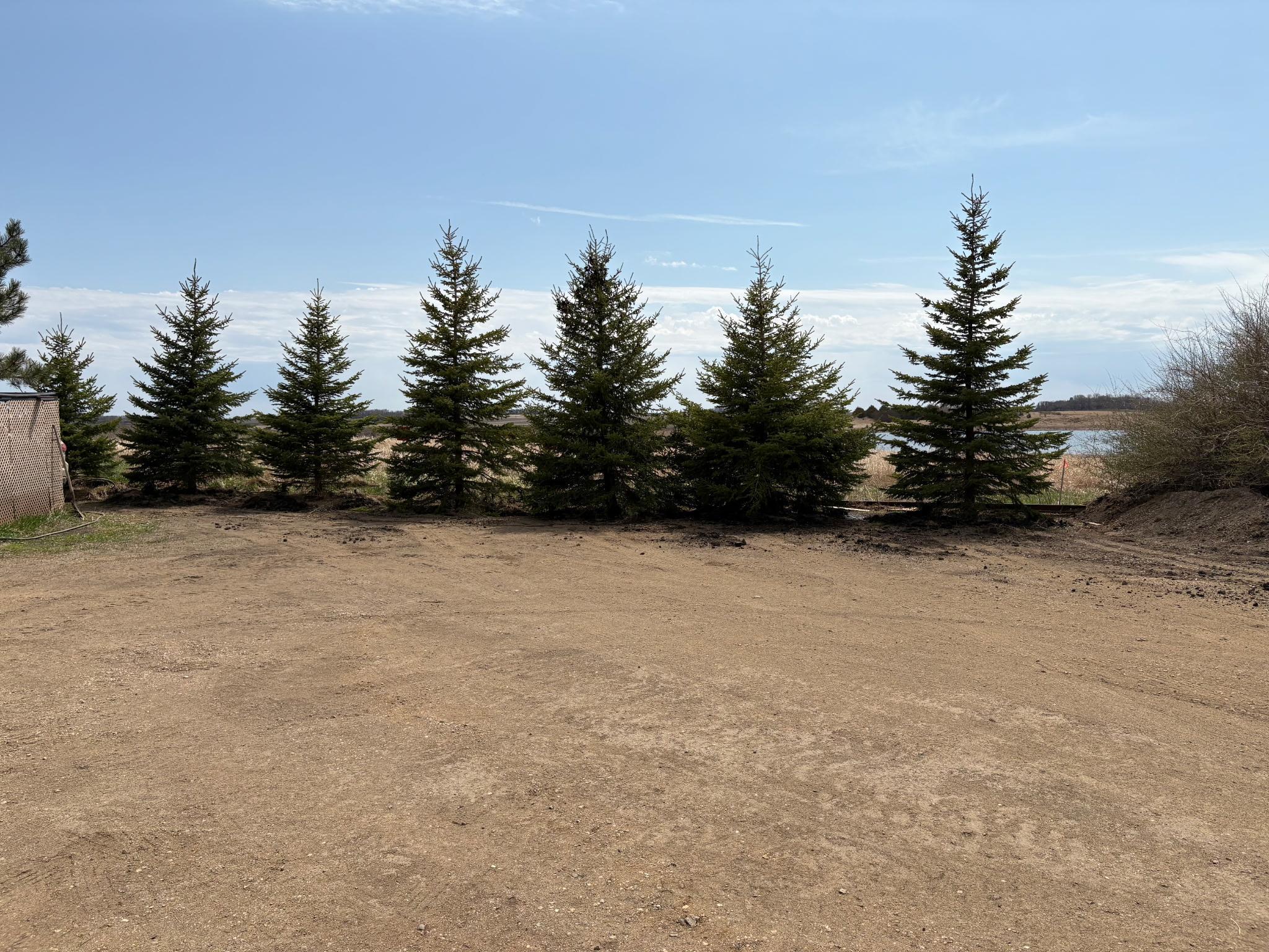 2051 120th Street Balaton, MN 56115 - Photo 43 of 46