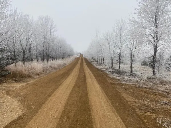 $325,000 | 2051 120th Street, Balaton, MN 56115