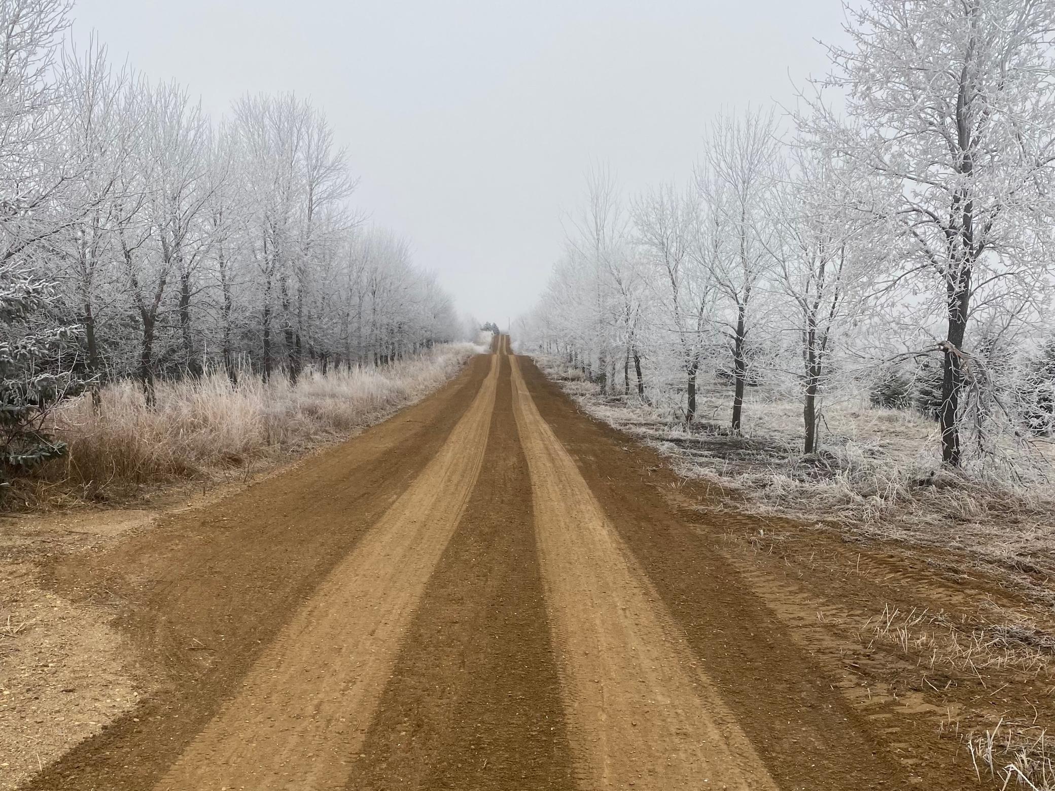 2051 120th Street Balaton, MN 56115 - Photo 46 of 46