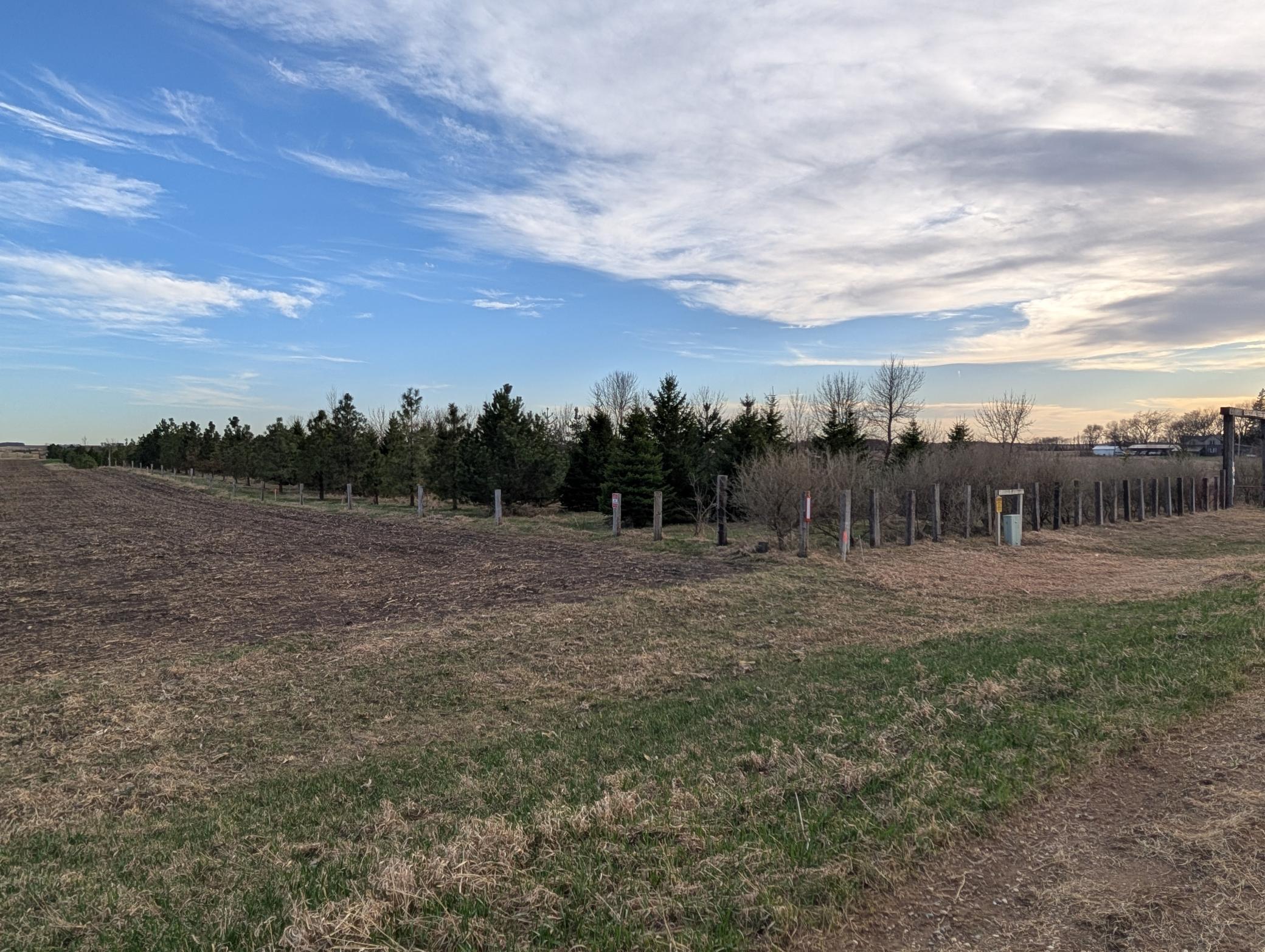 2051 120th Street Balaton, MN 56115 - Photo 47 of 52