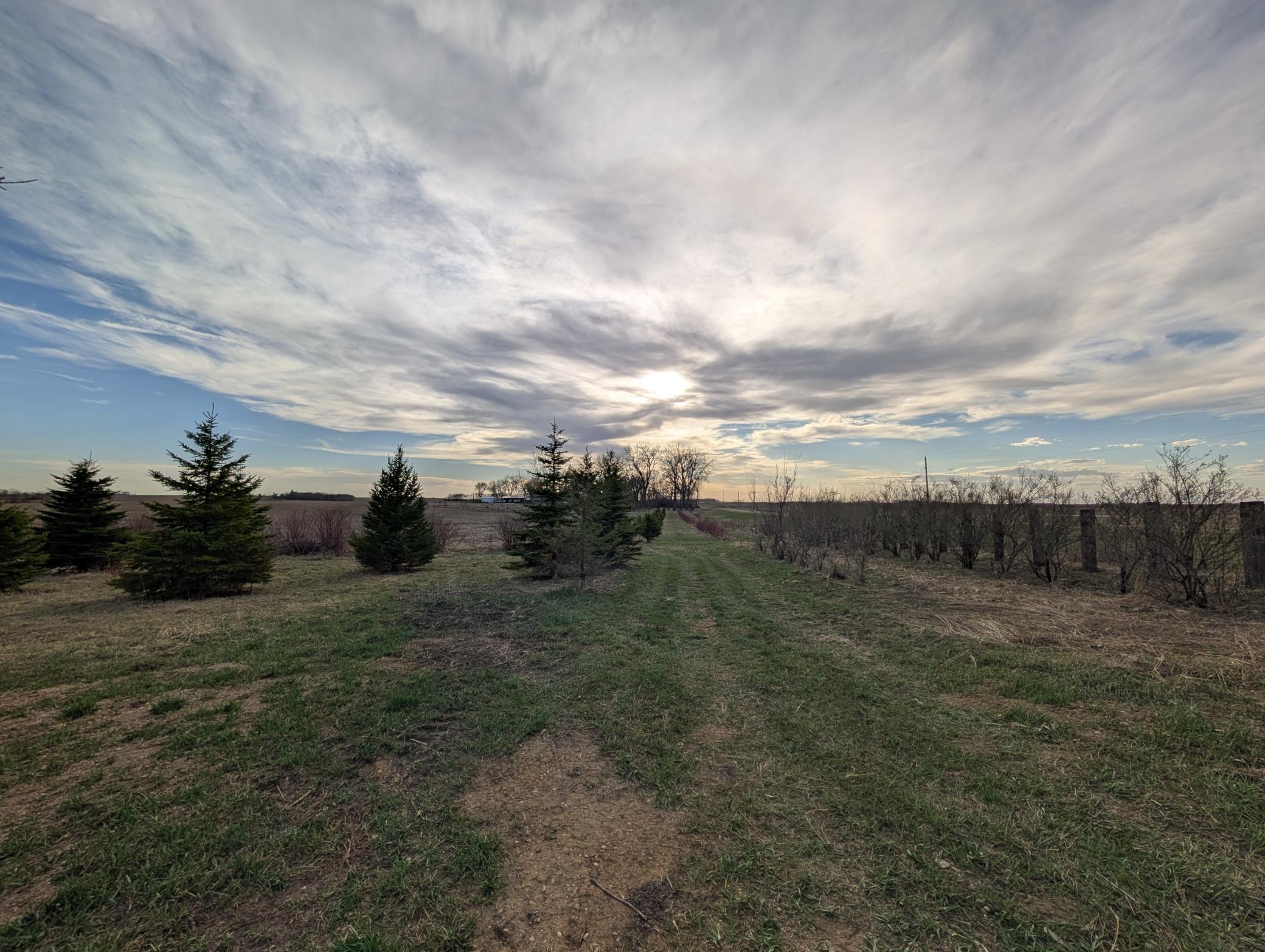 2051 120th Street Balaton, MN 56115 - Photo 50 of 52