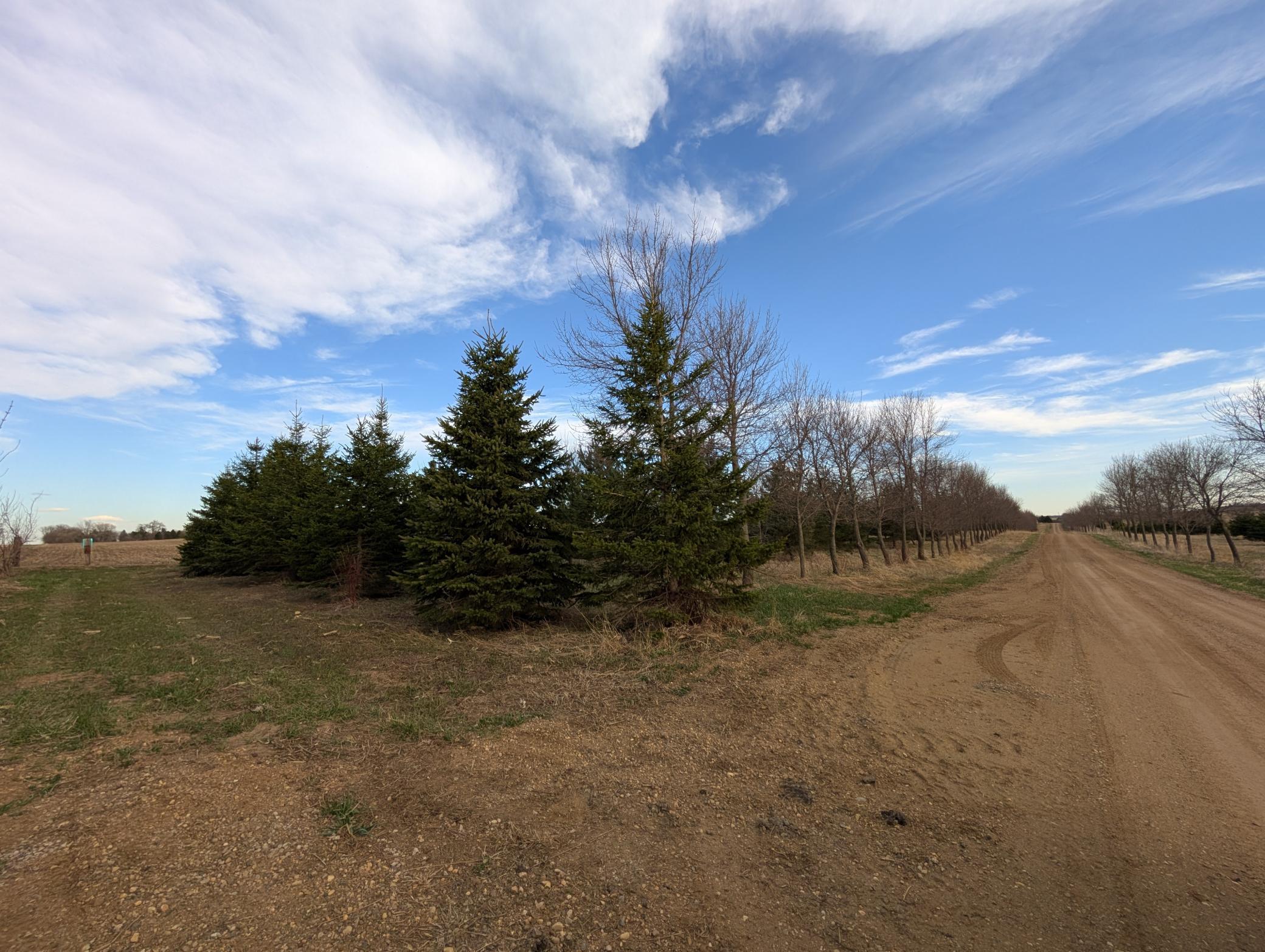 2051 120th Street Balaton, MN 56115 - Photo 51 of 52