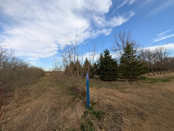 $350,000 | 2051 120th Street, Balaton, MN 56115