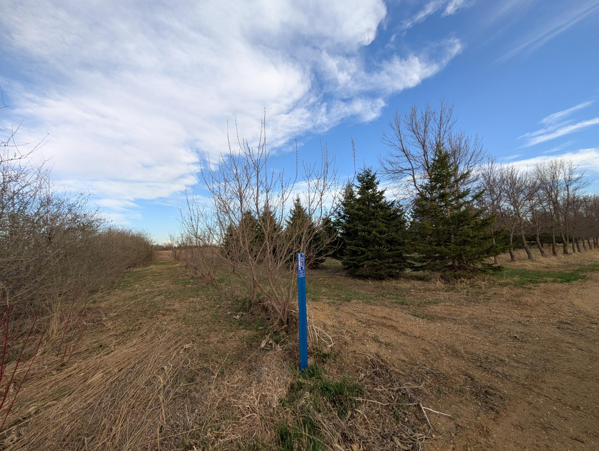 2051 120th Street Balaton, MN 56115 - Photo 52 of 52