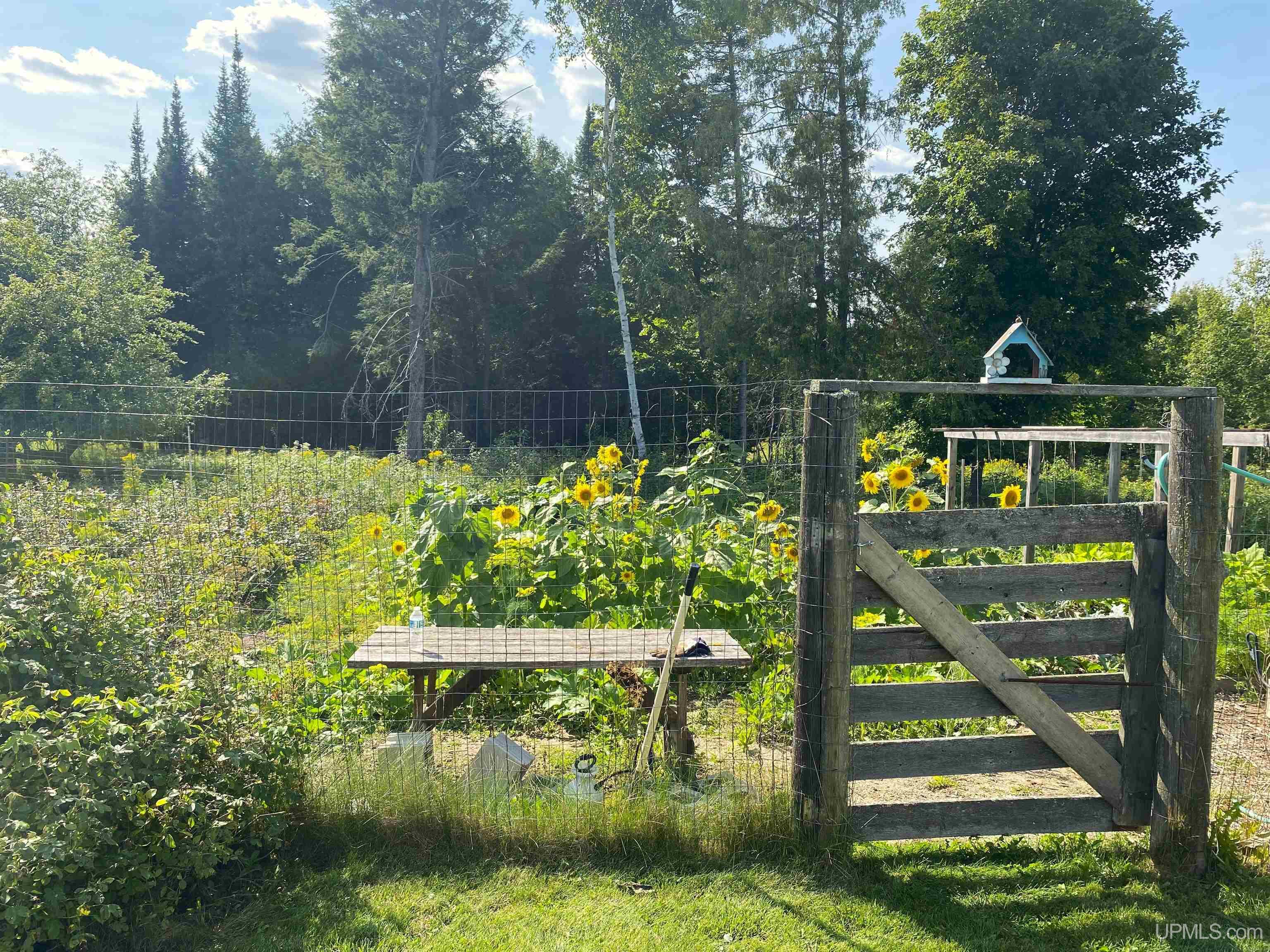 N16809 Veeser Road Wilson, MI 49896 - Photo 23 of 93 Gallery Image 23