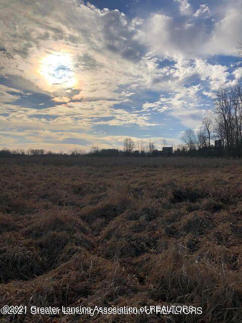 0 Wright Road Leslie, MI 49251 - Photo 13 of 41 13