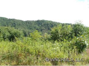 168-70 Rabbit Hop Road Spruce Pine, NC 28777 - Photo 8 of 9 Gallery Image 8