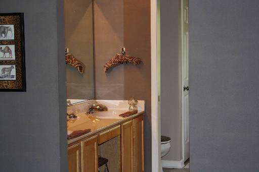 114 Barnes Road Elgin, IL 60124 - Photo 12 of 15 a bathroom with a sink and mirror