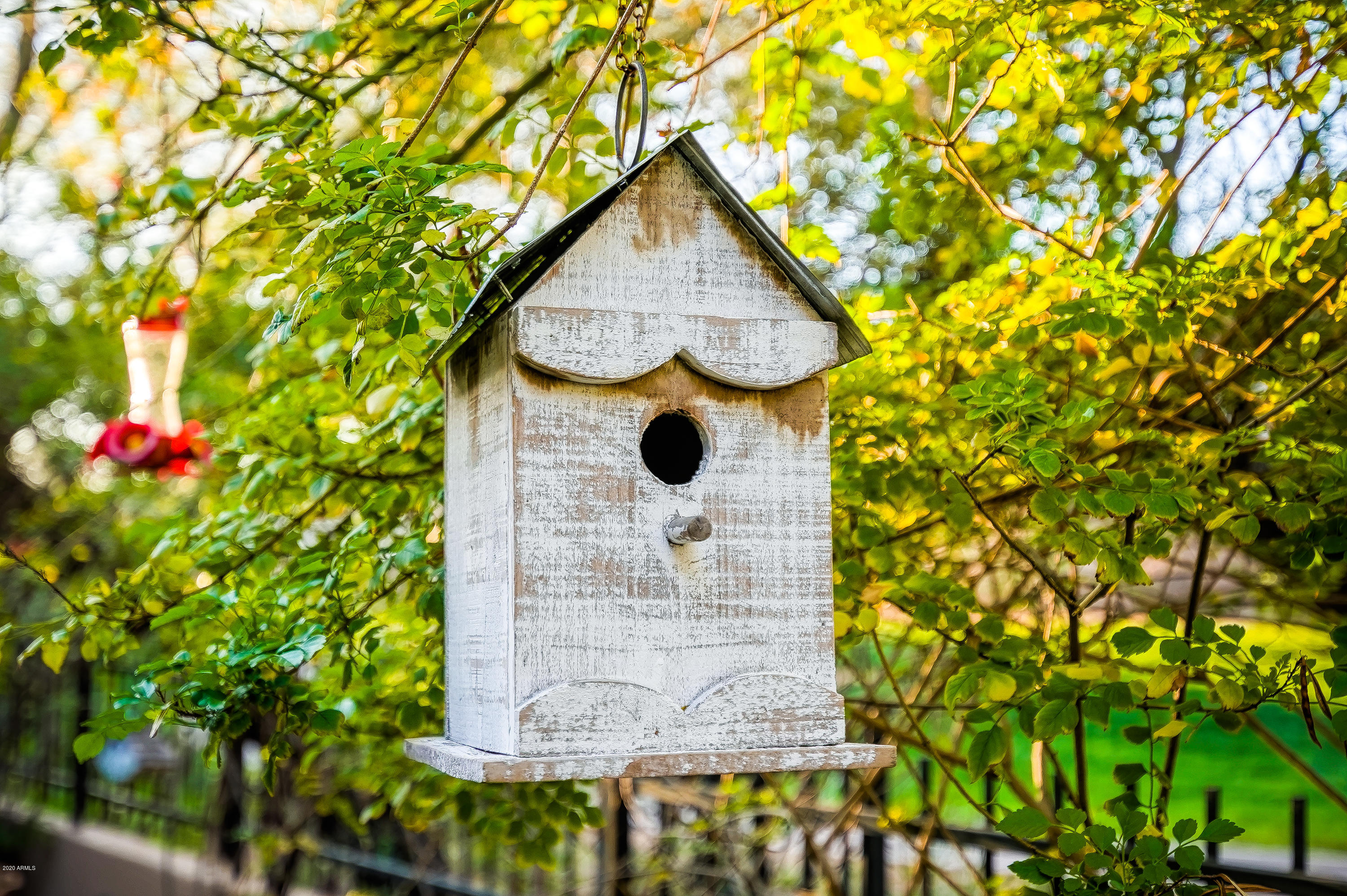 8932 East Mountain Spring Road Scottsdale, AZ 85255 - Photo 35 of 78 Backyard