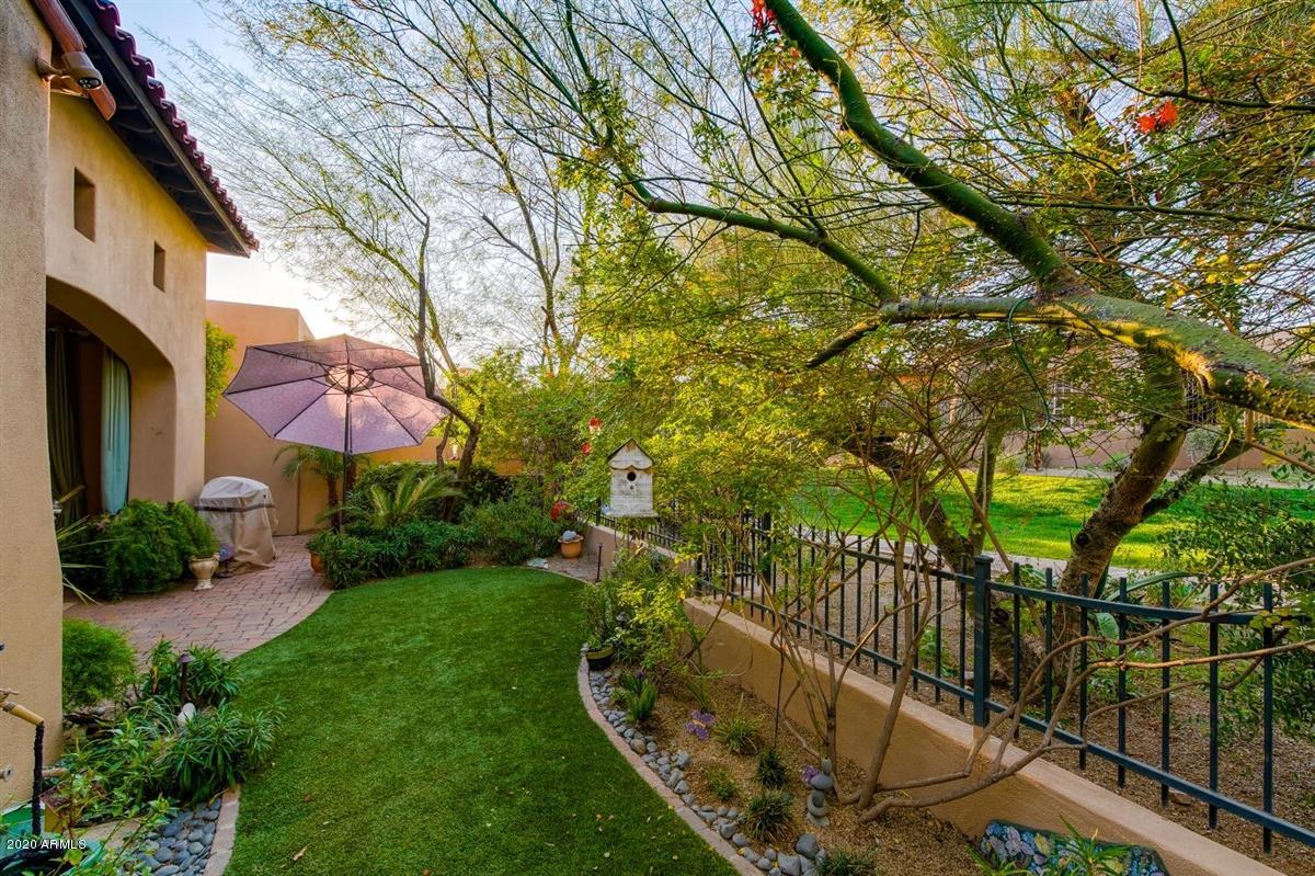 8932 East Mountain Spring Road Scottsdale, AZ 85255 - Photo 37 of 78 57-57 Patio and Backyard