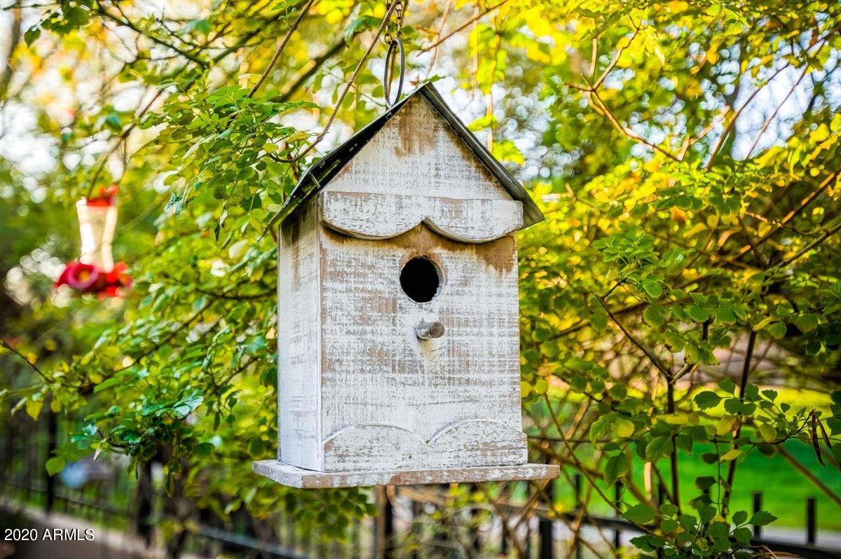 8932 East Mountain Spring Road Scottsdale, AZ 85255 - Photo 57 of 78 44-44