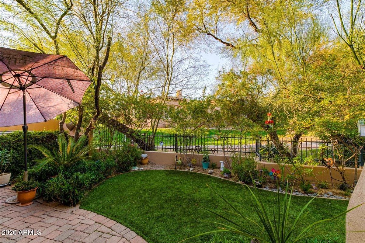 8932 East Mountain Spring Road Scottsdale, AZ 85255 - Photo 60 of 78 41-41