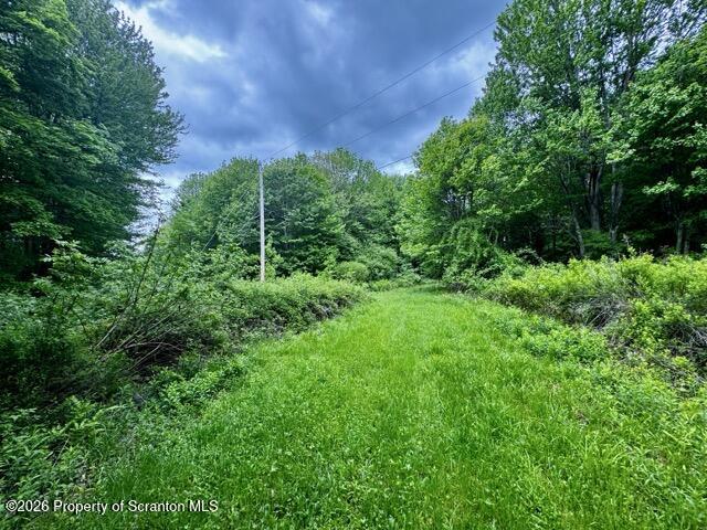 Marvins Road Susquehanna, PA 18847 - Photo 13 of 17 IMG_2830 Medium