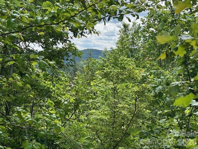 0 Azule Ridge Drive Bostic, NC 28018 - Photo 11 of 18