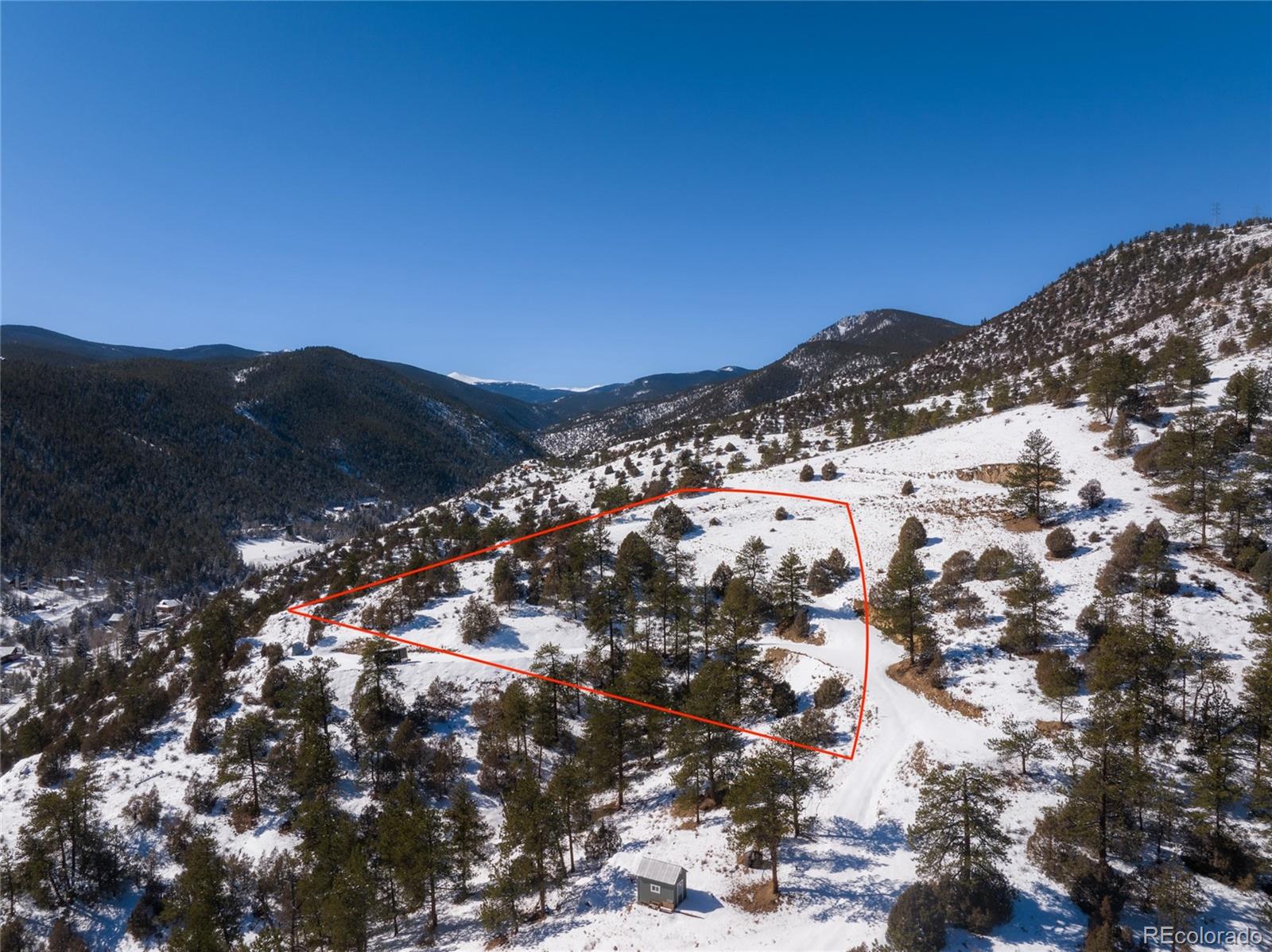 777 Laughing Valley Ranch Road Idaho Springs, CO 80452 - Photo 6 of 16 a view of a large tree