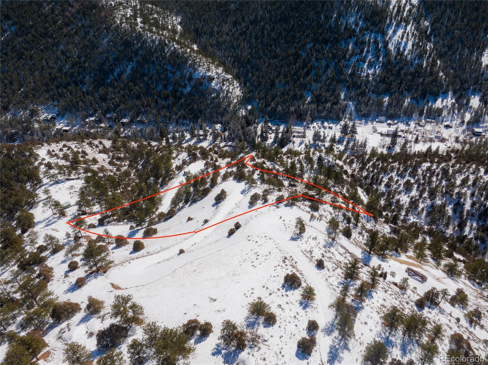 777 Laughing Valley Ranch Road Idaho Springs, CO 80452 - Photo 9 of 16 a view of a yard with a tree