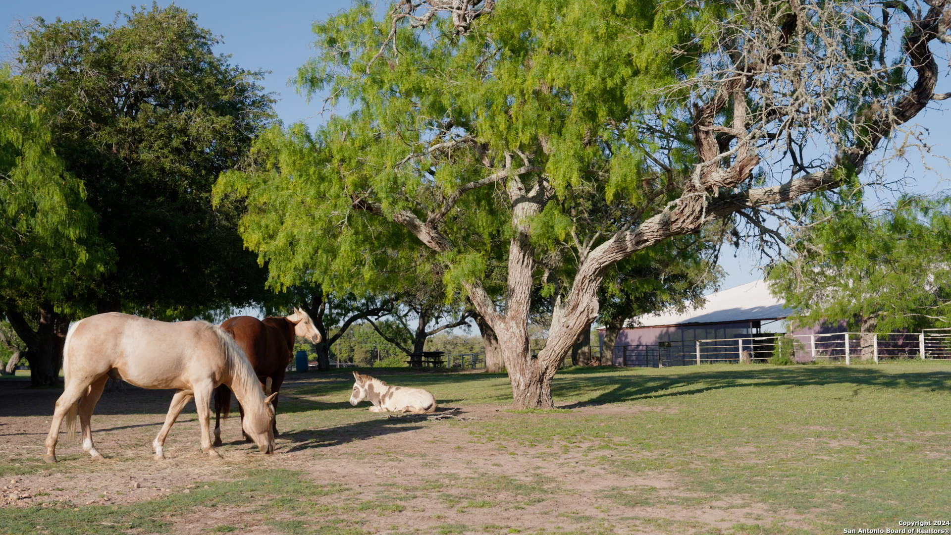 2595 Lower Mission Valley Road Victoria, TX 77905 - Photo 12 of 50