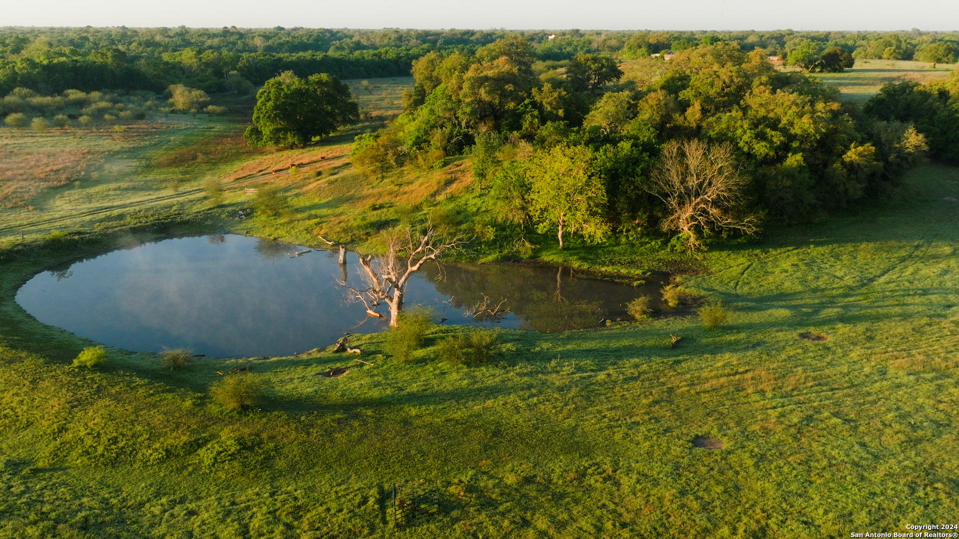 2595 Lower Mission Valley Road Victoria, TX 77905 - Photo 45 of 50