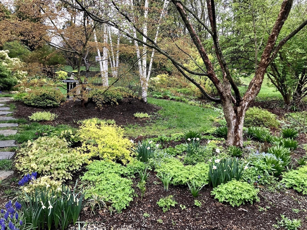16 South Sunset Avenue Amherst, MA 01002 - Photo 26 of 42 a view of a garden with large trees